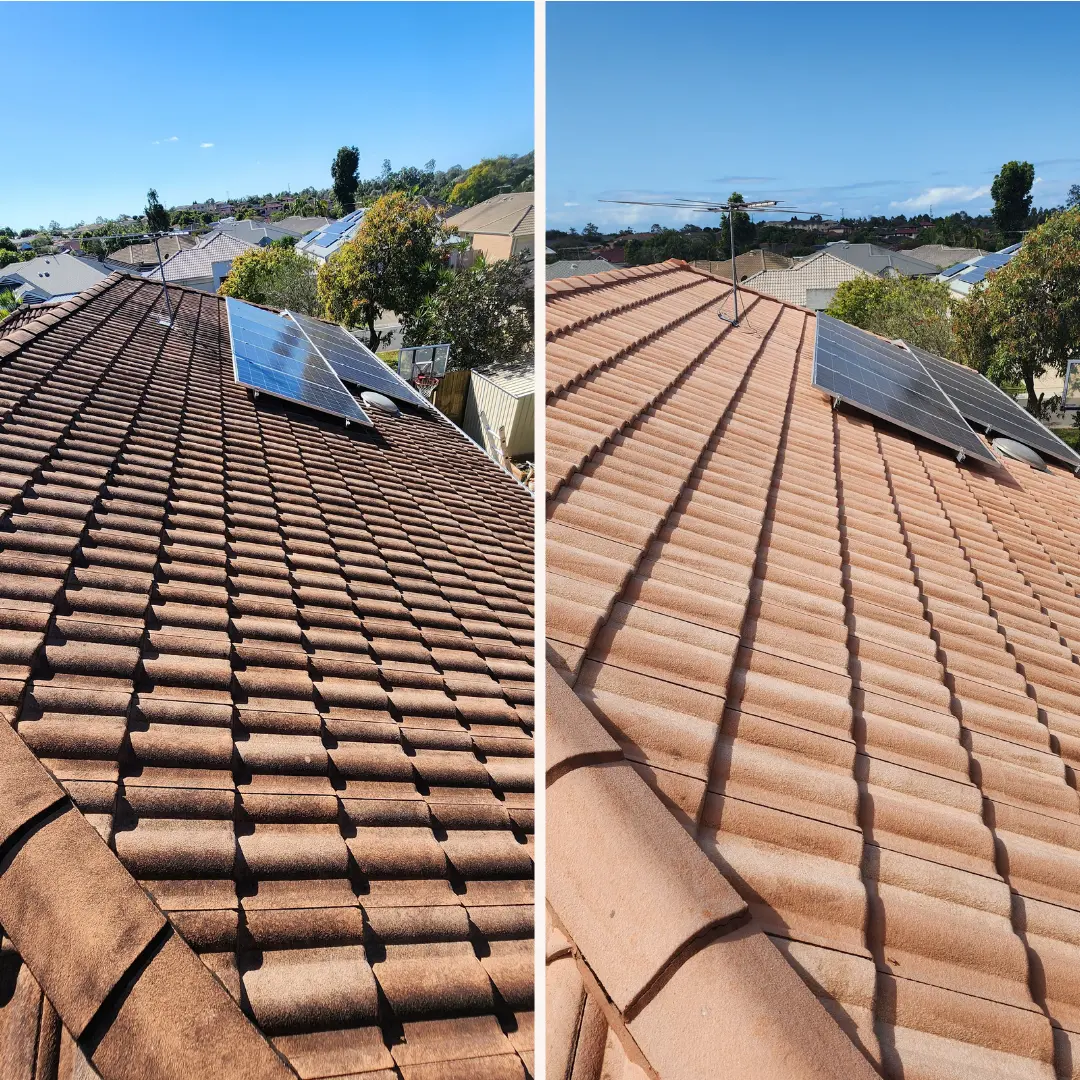Before and after comparison of a tile roof wash around solar panels