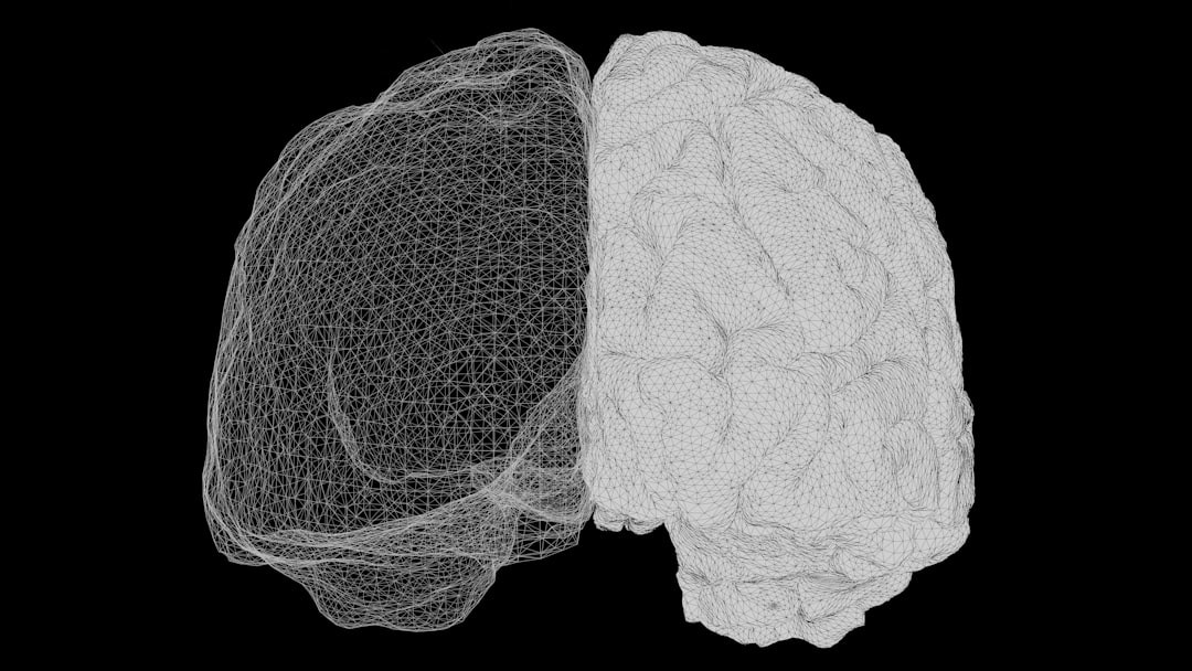 a computer generated image of a human brain